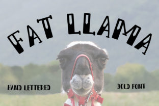 Fat Llama Font for Business Branding