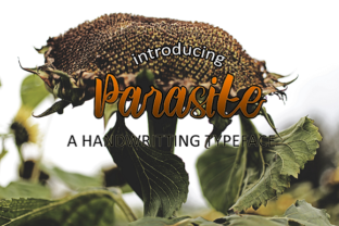 Parasite: A Bold Handwriting Font