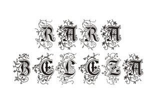 Rara Beleza: A Blackletter Font That Commands Attention