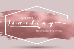 Starling: A Modern Calligraphy Font