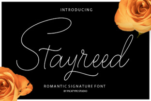 Stayreed: A Font for Creative Campaigns