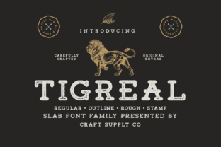 Tigreal Family: A Slab Serif Font That Feels Like Home
