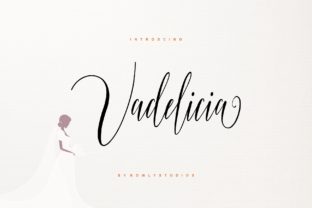 Vadelicia Script: Elegant Typography for Marketers